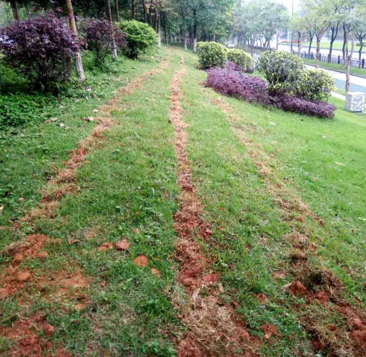 埋地泄漏電纜產品功能和運用